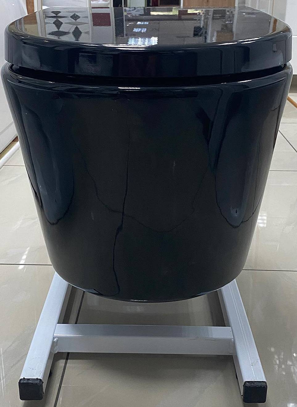 mirla_crna_wc_solja2 mirla_crna_wc_solja2